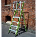 Little Giant Safety Cage